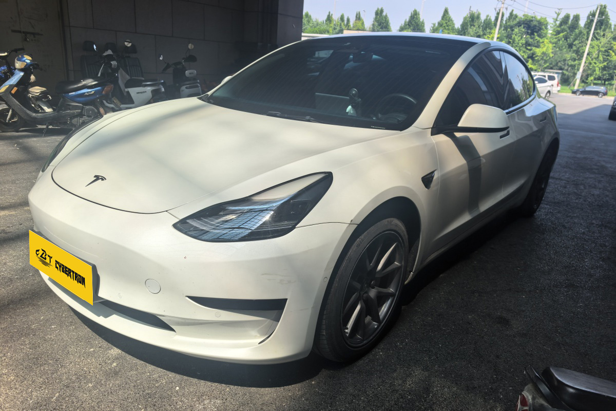 Tesla Model 3 2022 Rear-Wheel Drive — Photo 1