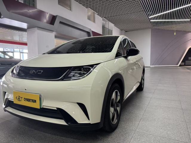Dolphin 2024 Glory Edition 420 km Freedom Edition